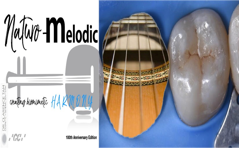 Naturo-Melodic: Creating Biomimetic Harmony with A-Chord and Essentia